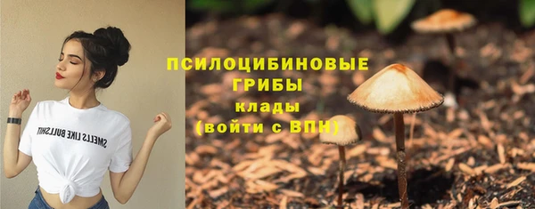 мяу мяу мука Абинск