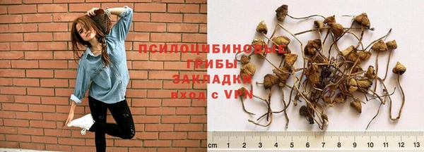 мяу мяу мука Абинск