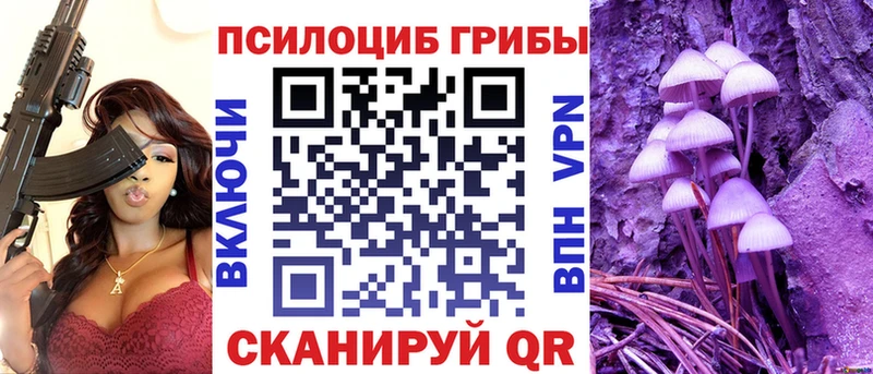 Псилоцибиновые грибы Cubensis  Суздаль 